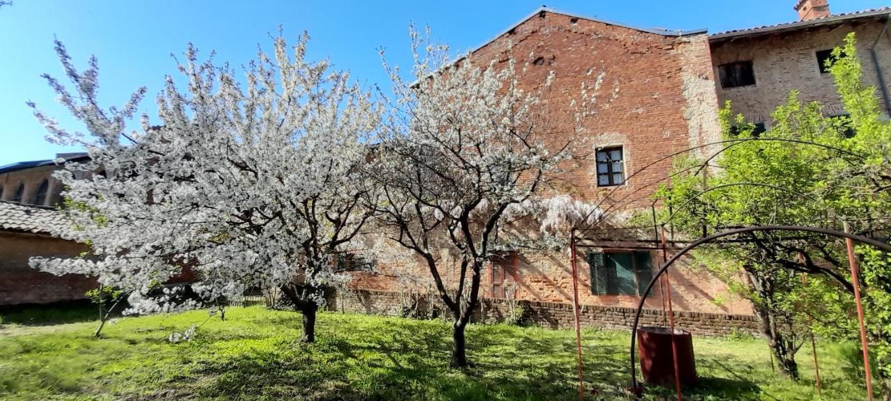 Agriturismo Olivazzi Quattordio ภายนอก รูปภาพ